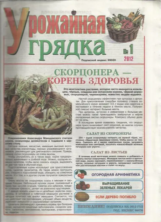 Газета Урожайная грядка. Кировоград. Украина. № 8