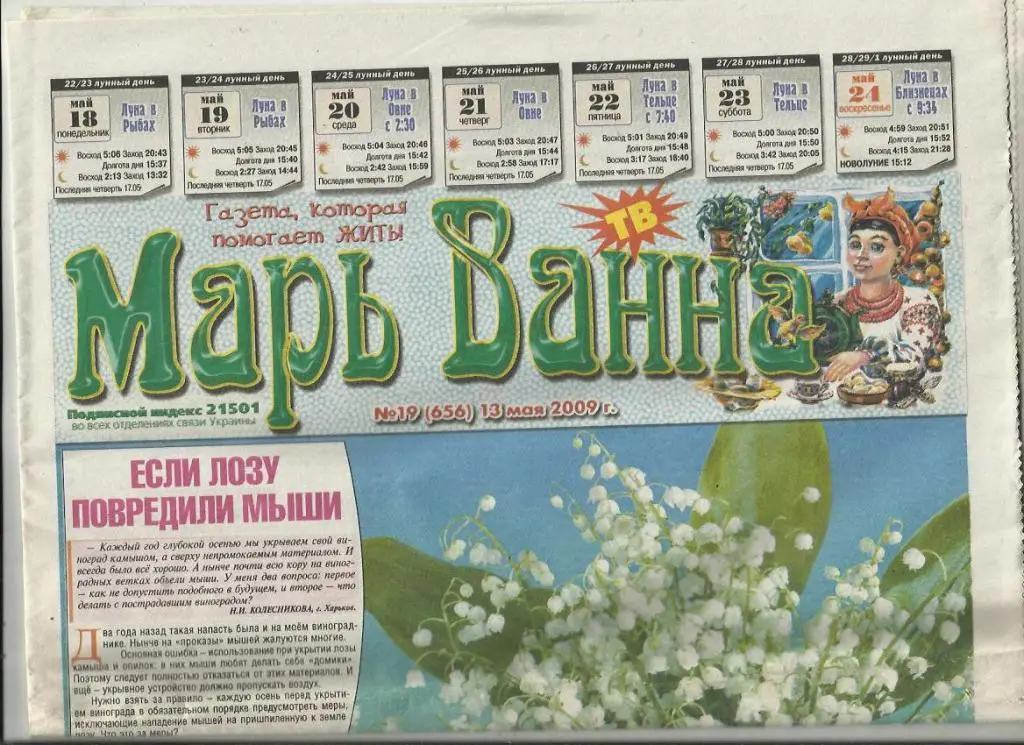 Газета Марь Ванна. Северодонецк. Украина. № 45