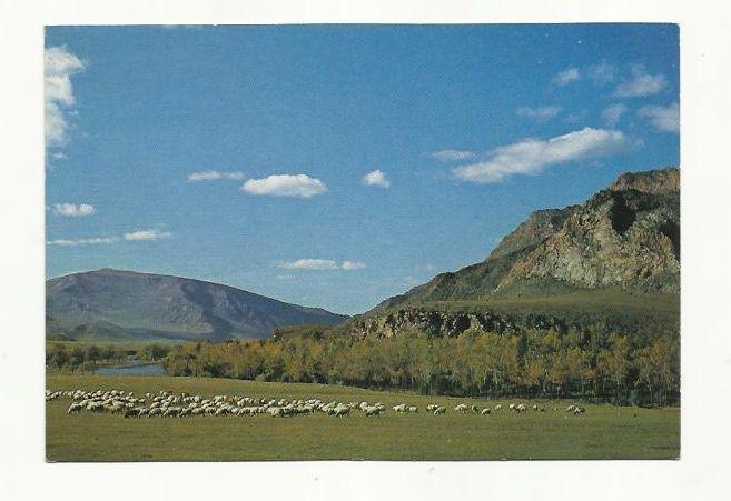 Монголия. Билчээрт.