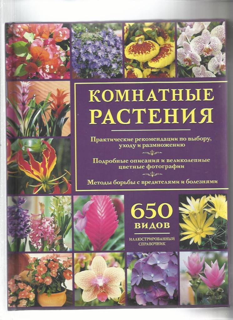 Комнатные растения. Выбор, уход, размножение. 650 видов. Иллюстрированный справо