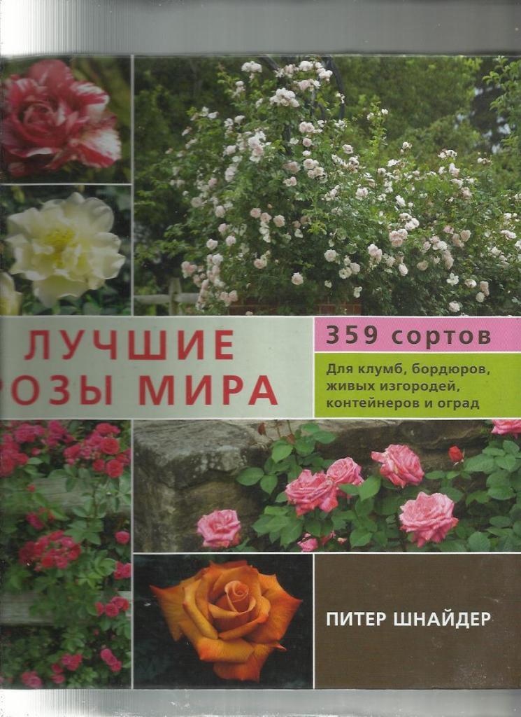 П. Шнайдер. Лучшие розы мира. 359 сортов. Фотоальбом с описанием.