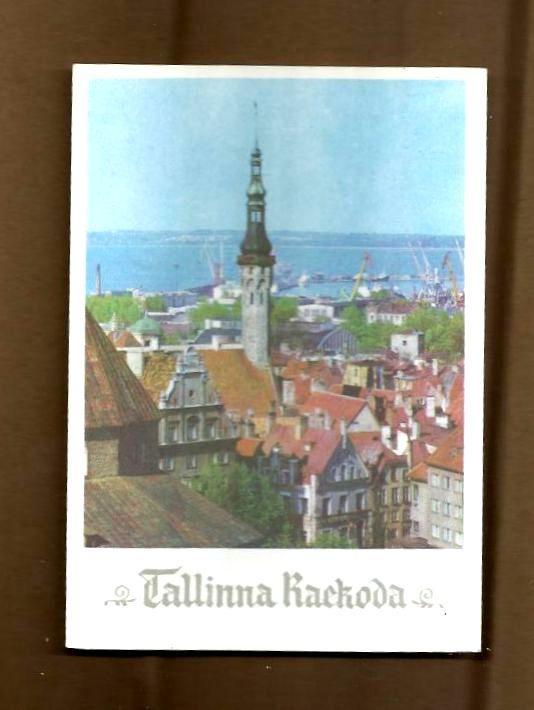 Открытка. Ратуша. Таллин. Эстония. 1977 г.