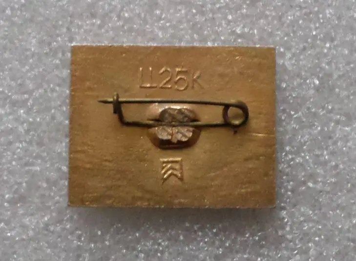 Леся Украинка - 4. Музей. Новоград - Волынский. 2