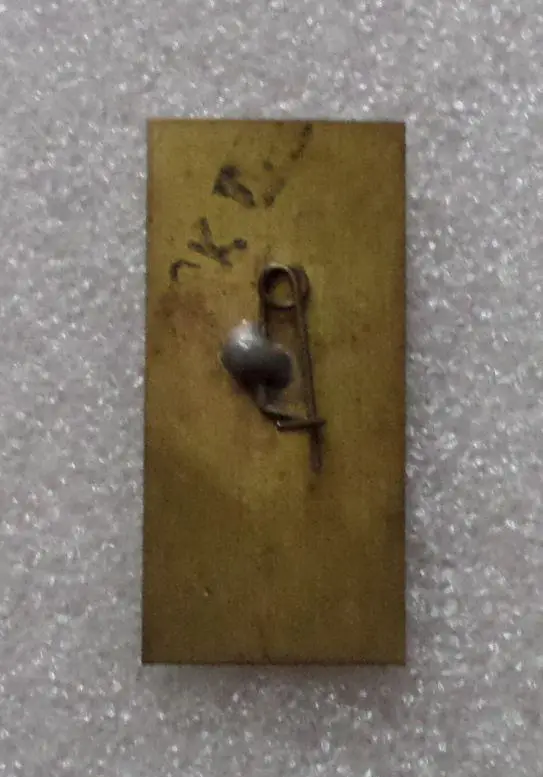 Леся Украинка - 6. Памятник. 2