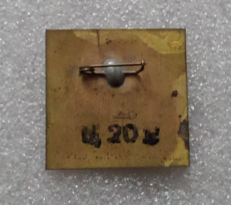 Леся Украинка - 5. Памятник - 2. 2