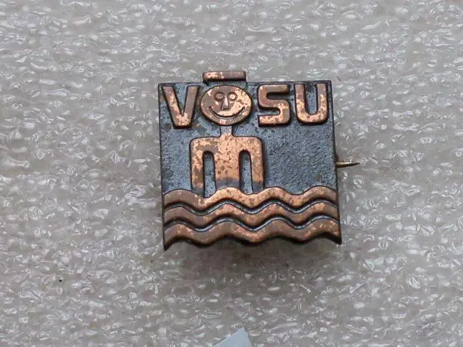 Вызу. Море, пляж. Эстония. тяжелый.