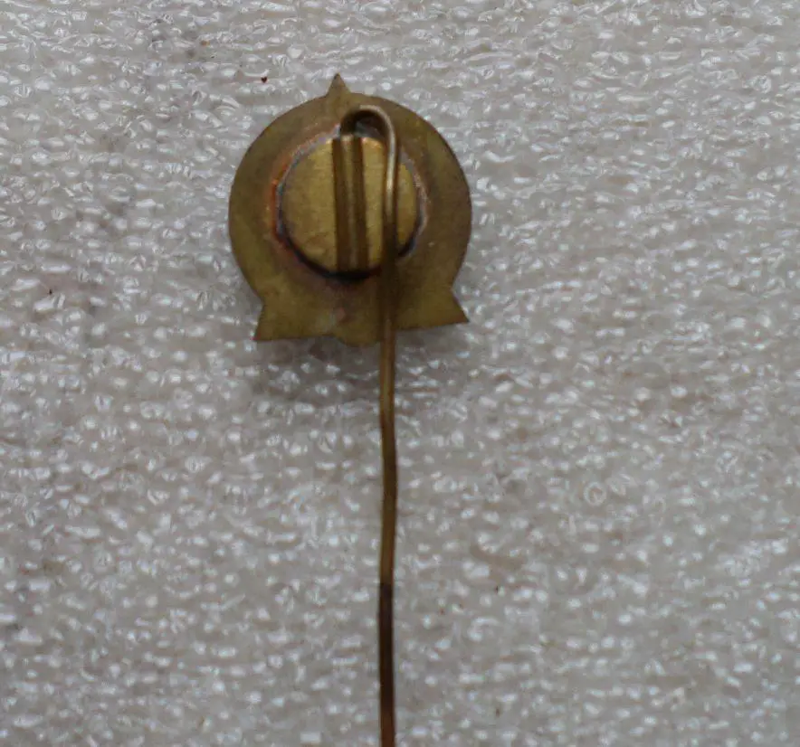 ДСО. Ноорус. (Юность). Эстония. тяжелый. синий разновид, игла. 1