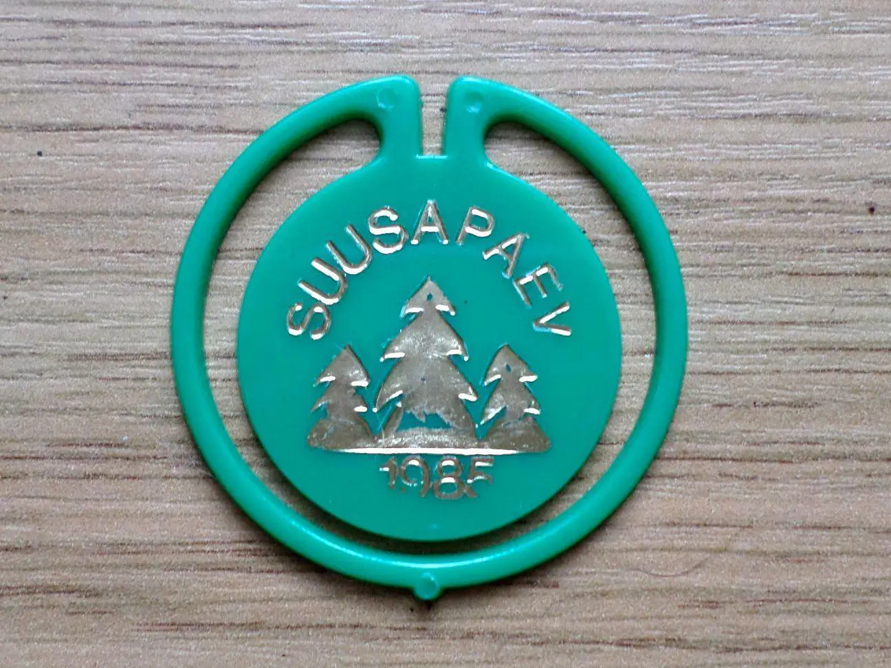 Suusa matk. День катания на лыжах. 1985 год. Таллинн. Изготовлен - завод Экоплас