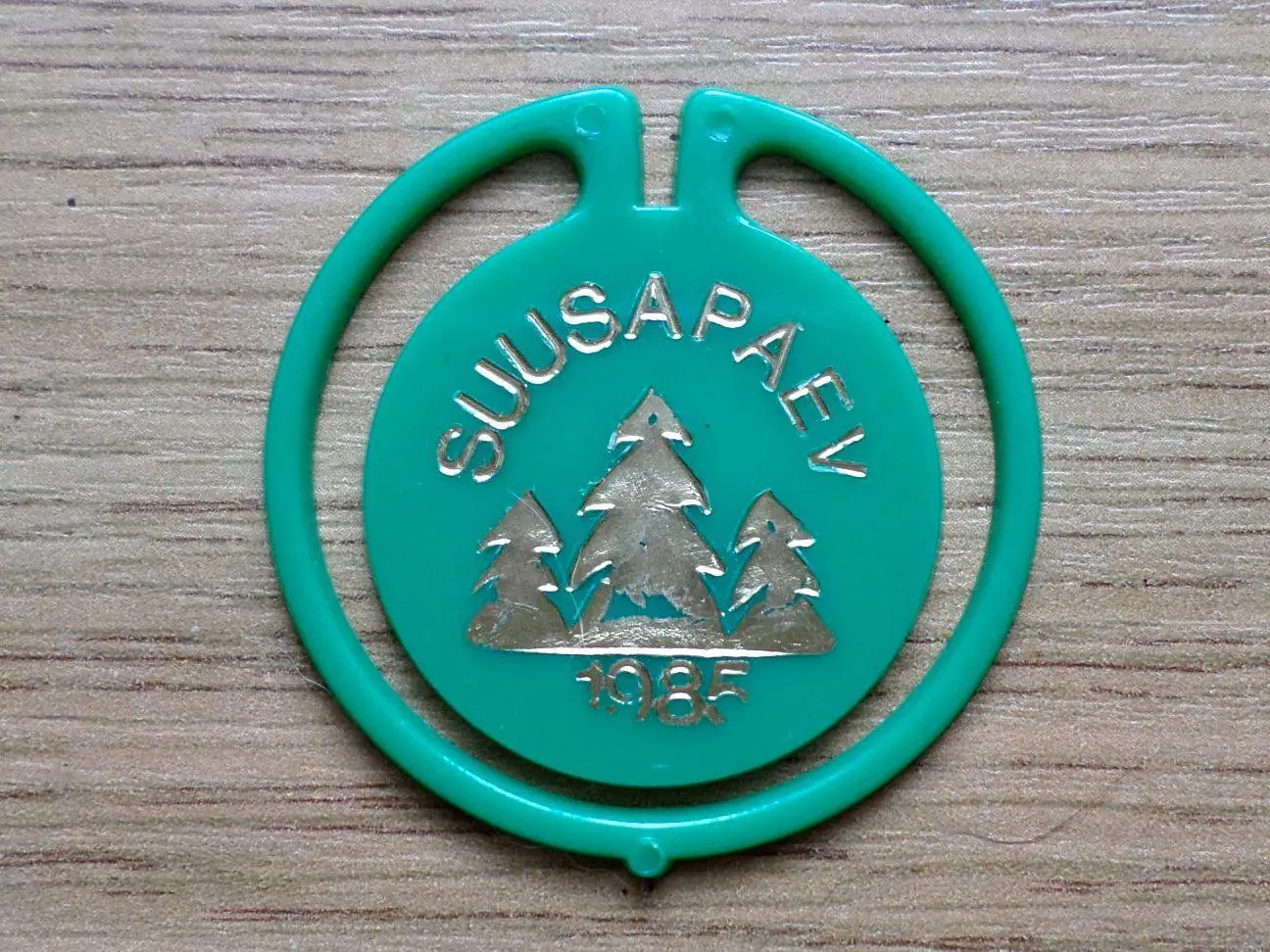 Suusa matk. День катания на лыжах. 1985 год. Таллинн. Изготовлен - завод Экоплас 1