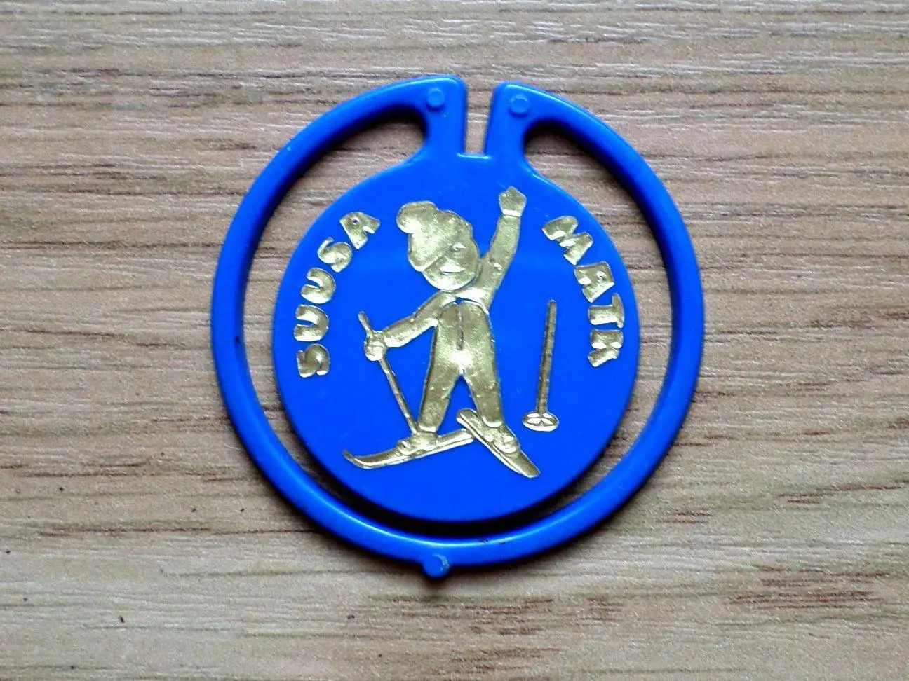 Suusa matk. Лыжный поход. Таллинн. Изготовлен - завод Экопласт Эстония.