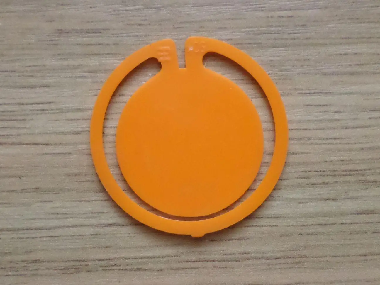 День конькобежного бега. Калининский район. Таллинн. Изготовлен - завод Экопласт 2