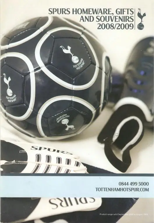 ФК Тоттенхем(Англия) - 2008/09