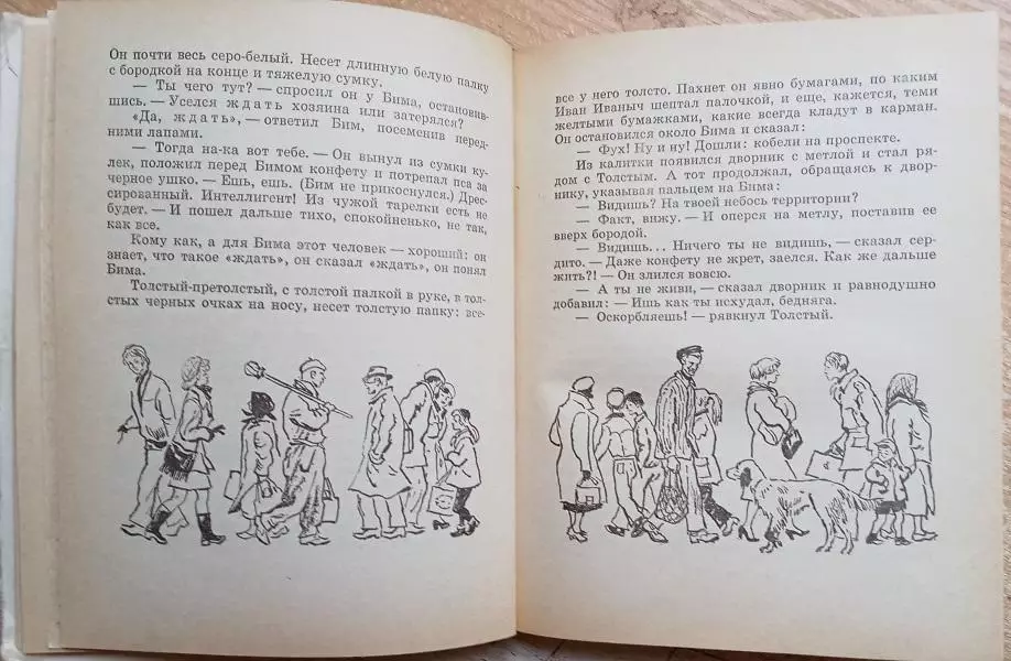 собака сеттер тихонов кино Гавриил Троепольский.	Белый Бим Черное ухо. Повесть. 2