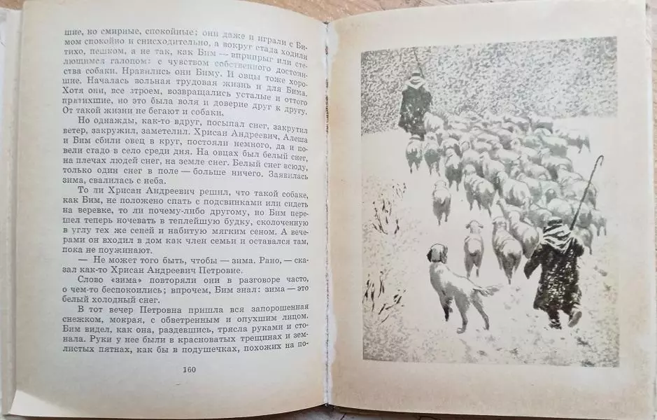 собака сеттер тихонов кино Гавриил Троепольский.	Белый Бим Черное ухо. Повесть. 3