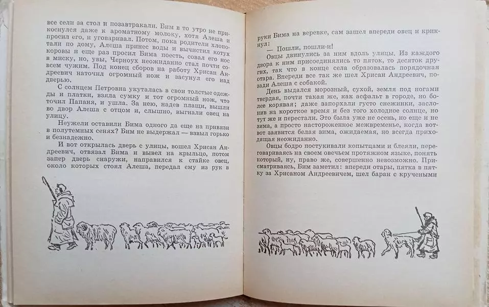 собака сеттер тихонов кино Гавриил Троепольский.	Белый Бим Черное ухо. Повесть. 4