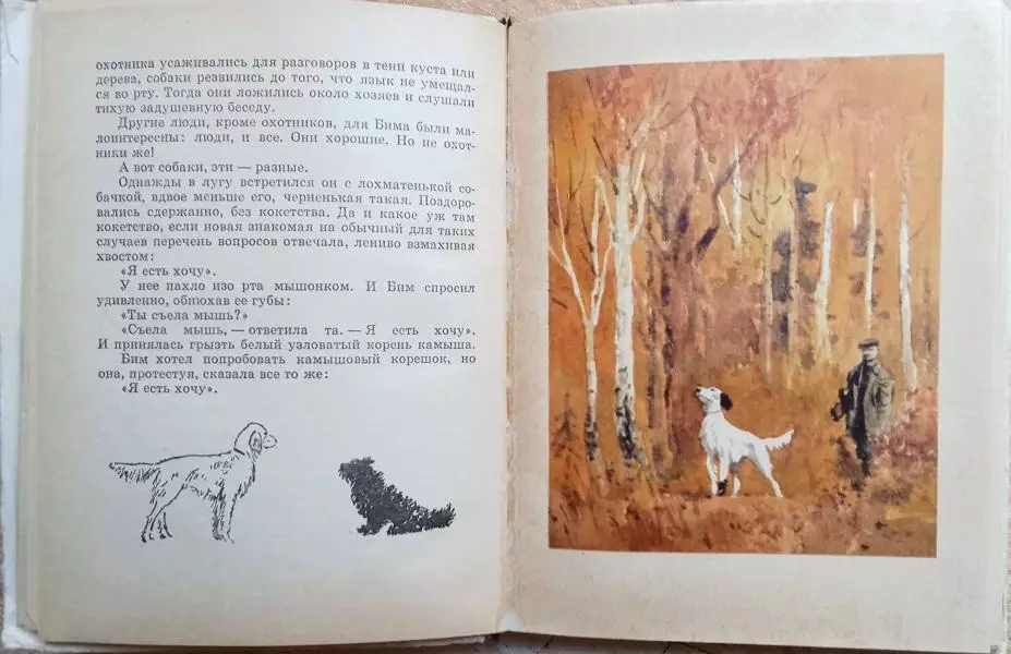 собака сеттер тихонов кино Гавриил Троепольский.	Белый Бим Черное ухо. Повесть. 5