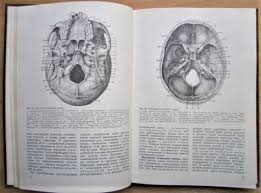Анатомия человека. В двух томах. Учебник для студентов медицинских институтов. 1