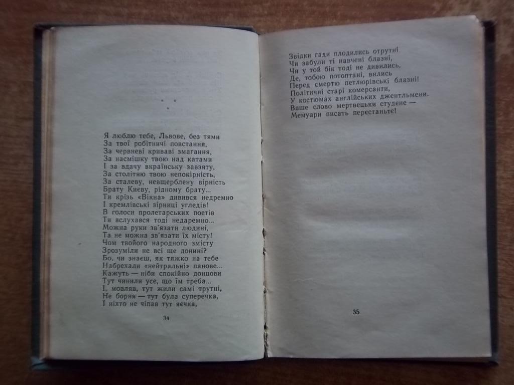 Павличко Д. Бистрина. 2