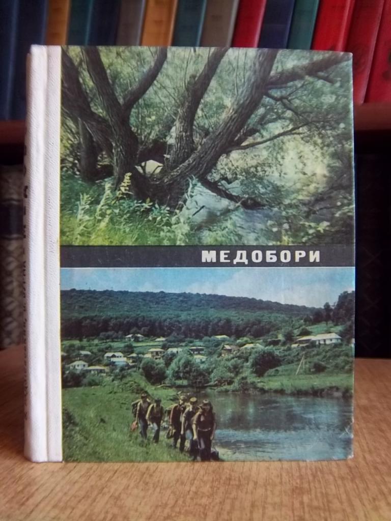 Радзієвський В., Бурма В. Медобори. Путівник.