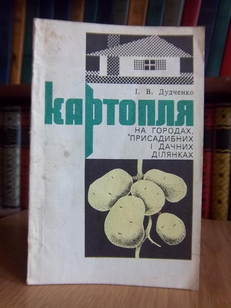 Картопля на городах, присадибних і дачних ділянках.