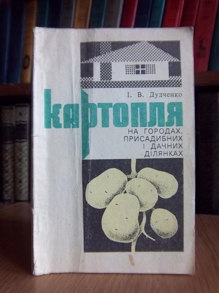 Картопля на городах, присадибних і дачних ділянках.