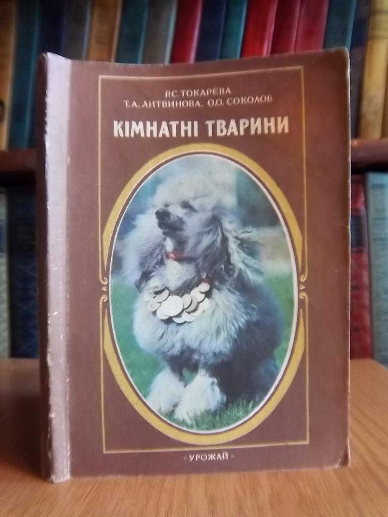 Кімнатні тварини.