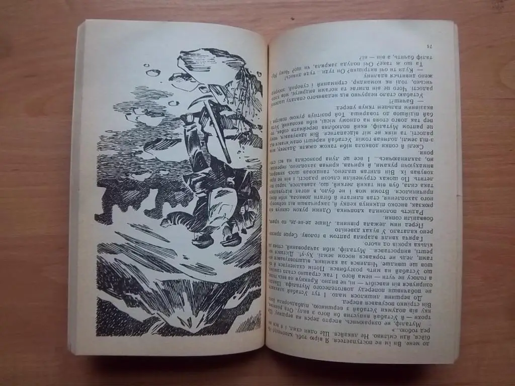 Досжанов Д. Кам'яні верблюди. 1