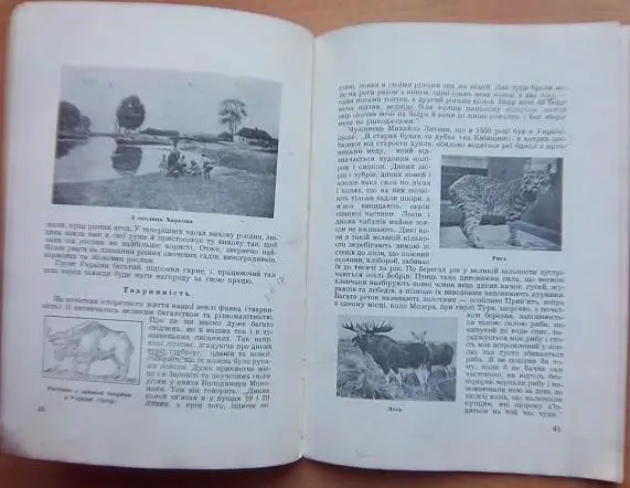 Україна земля моїх батьків. 2