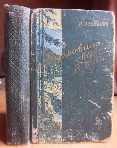 «Верховино, світку ти наш…».