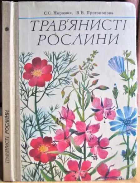 Трав'янисті рослини.
