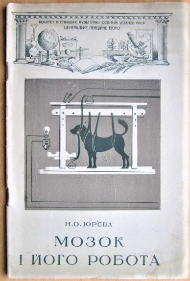 Юр'єва Н. Мозок і його робота.