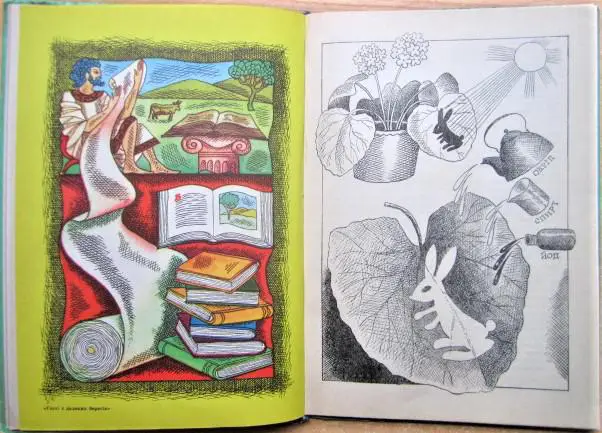 Правда, яка нагадує казку. Оповідання. 2