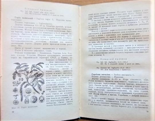 Лікарські рослини і їх застосування в народній медицині. 2