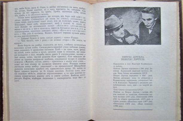 Бурштинові розсипи. Оповідання молодих литовських письменників. 2