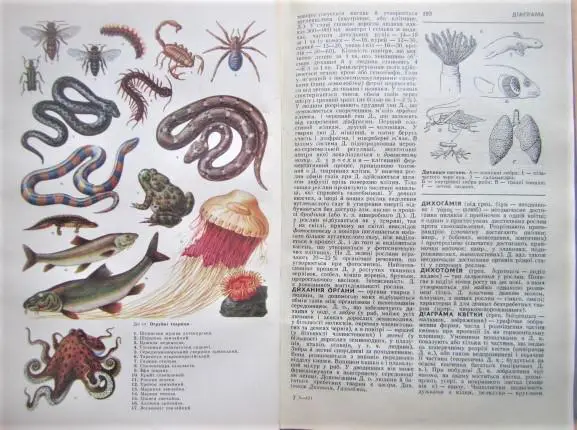 Біологічний словник. 1