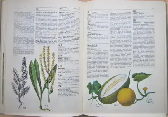 Лікарські рослини. Енциклопедичний довідник. 1