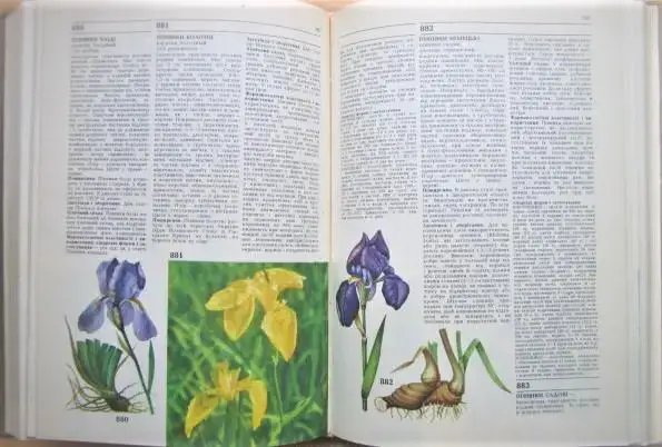 Лікарські рослини. Енциклопедичний довідник. 2