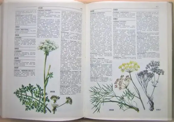 Лікарські рослини. Енциклопедичний довідник. 3