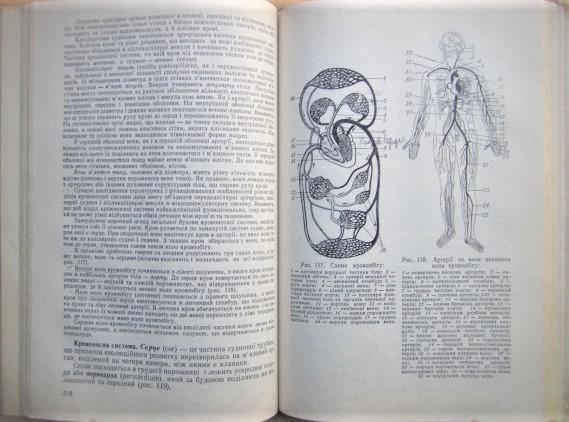 Анатомія людини. Навчальний посібник для медичних училищ. 2