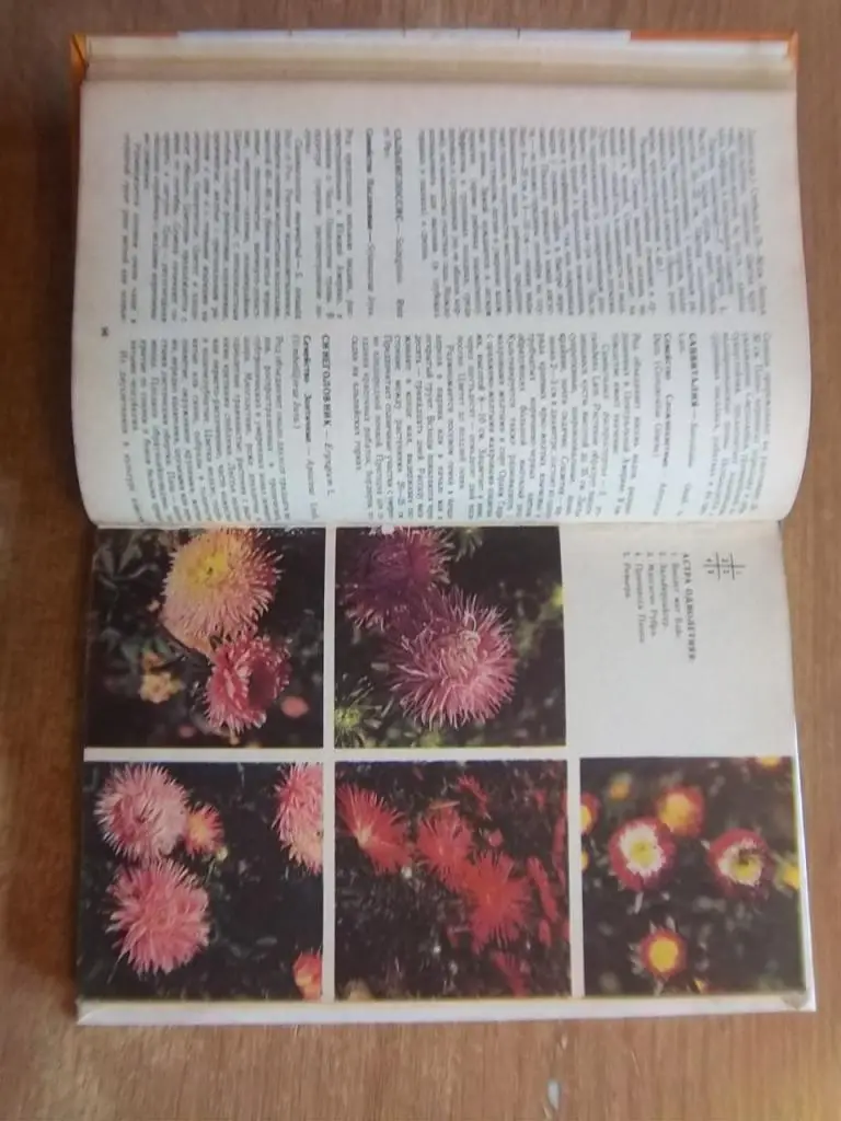 Справочник цветовода (цветочно-декоративные растения открытого грунта). 1