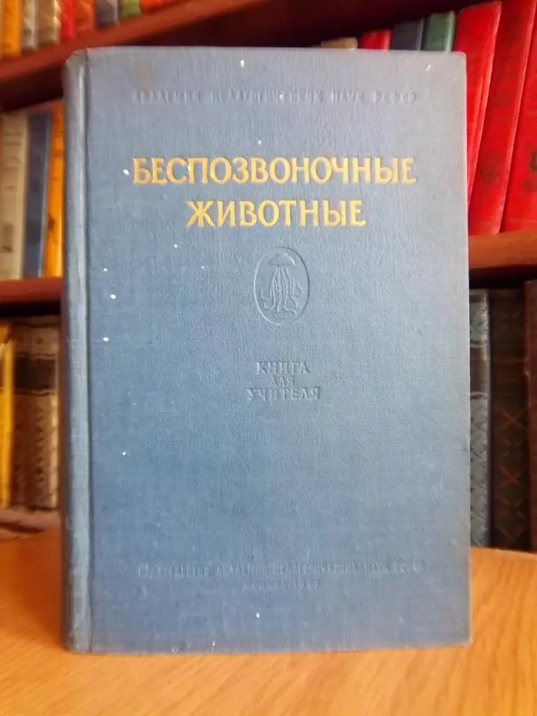 Беспозвоночные животные. (Строение в связи с условиями жизни и значение их для человека).