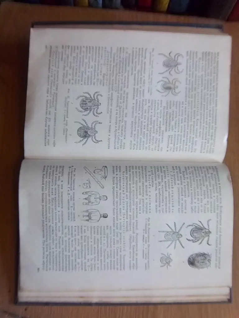 Беспозвоночные животные. (Строение в связи с условиями жизни и значение их для человека). 3