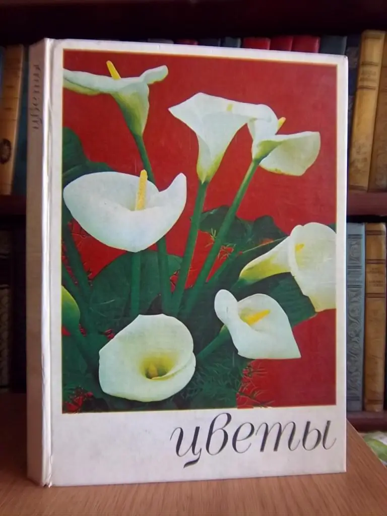 Цветы. Комнатные растения и декоративноцветущие кустарники.