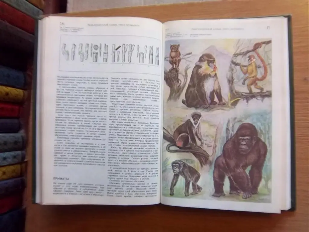 Энциклопедический словарь юного натуралиста. 1