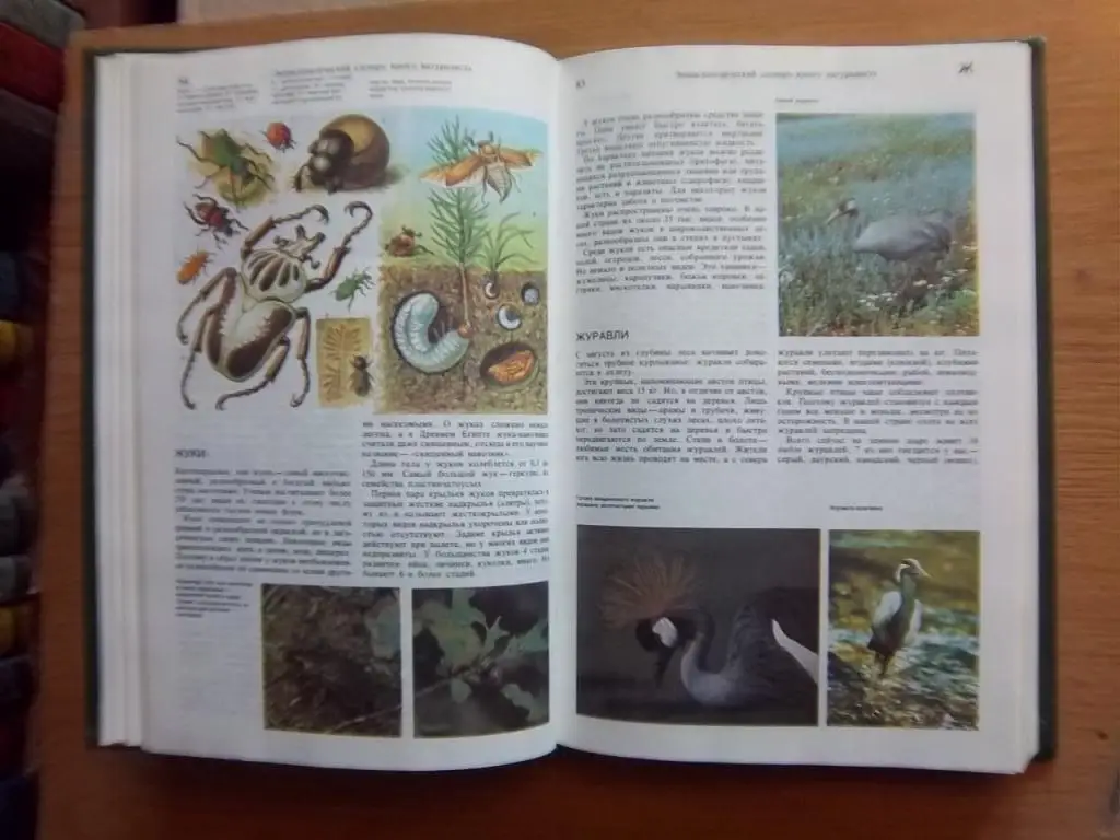 Энциклопедический словарь юного натуралиста. 3