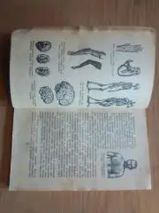 Как произошел и развился человек.