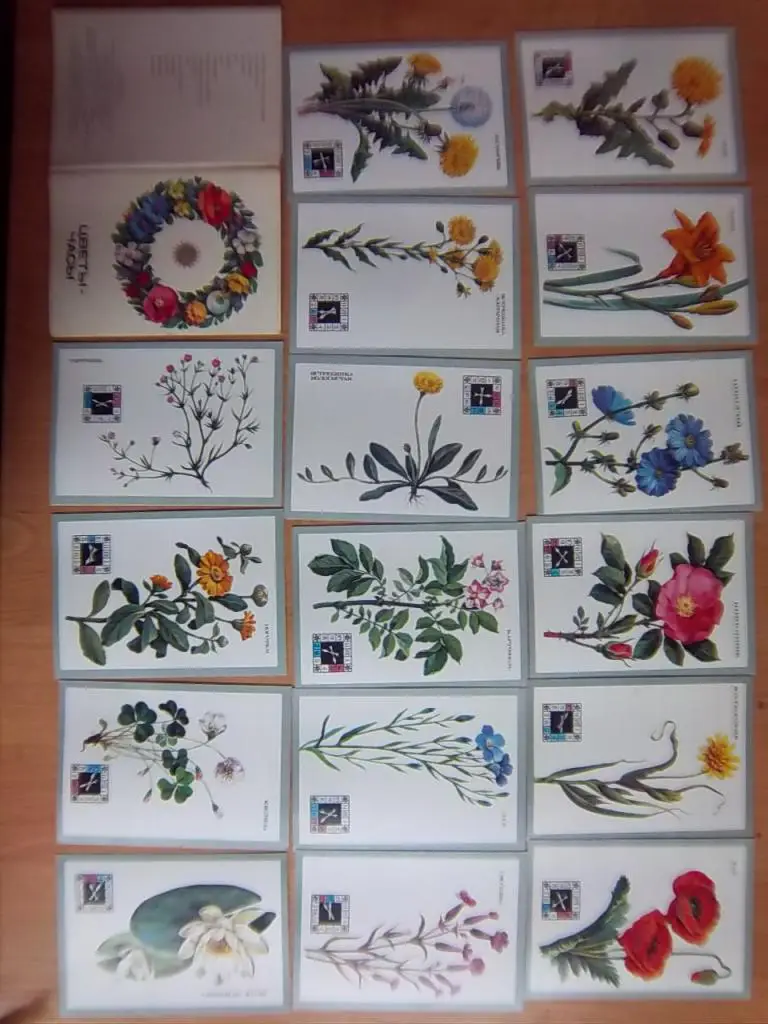 «Цветы-часы». Комплект из 16 открыток.