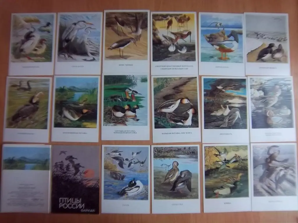 «Птицы России. Байкал». Выпуск 2. Комплект из 16 открыток.