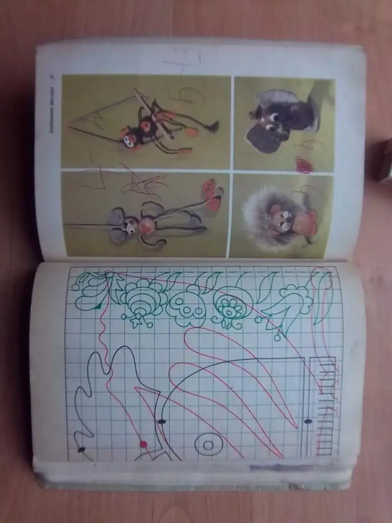 Хазенбанк Вера, Хениш Эдит Сделай сам. 2