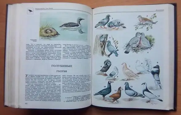 Энциклопедия для детей. Биология. том 2. 2